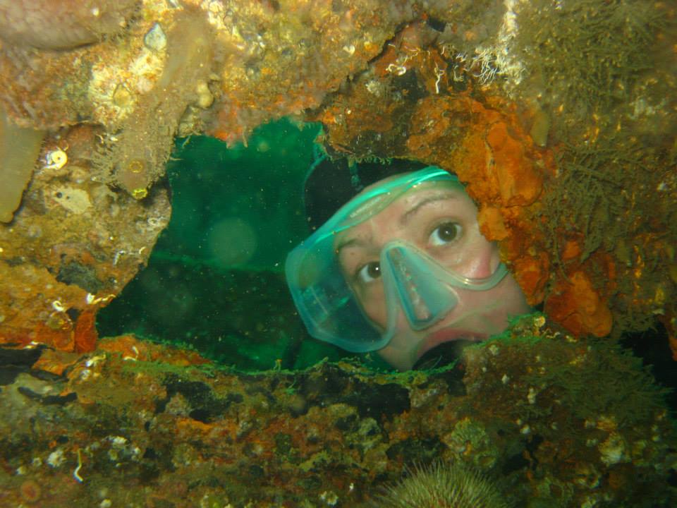 Some reasons you want your psychologist&nbsp;diving