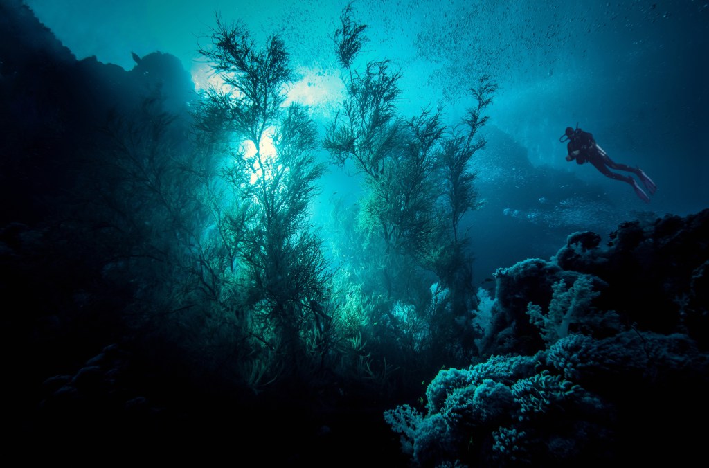 we experience narcosis when diving deeper

