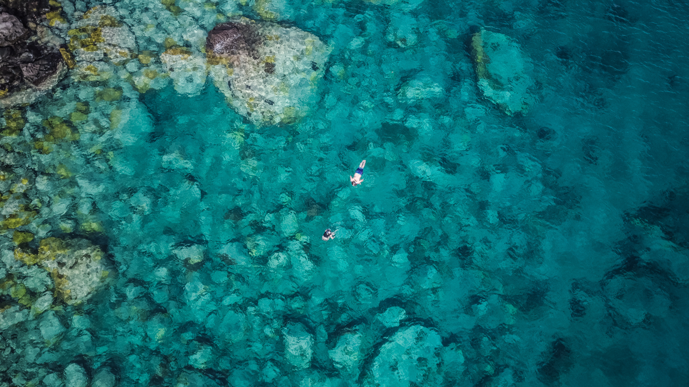 What is the plan for 2024?