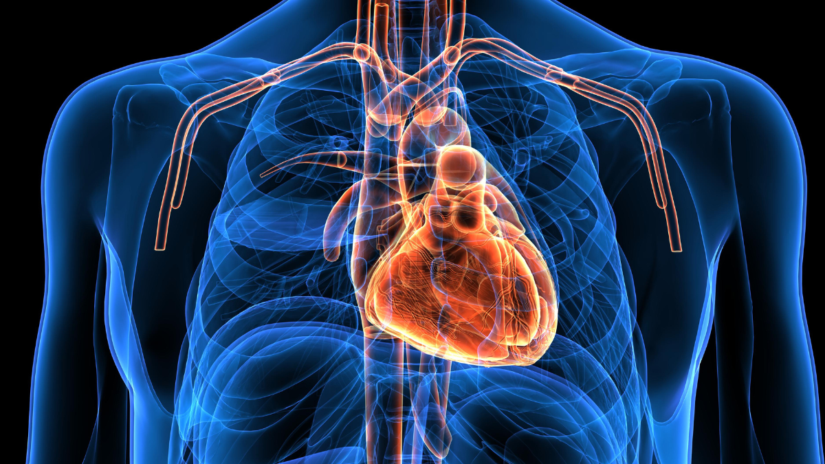 Turning teaching scuba divers inside out