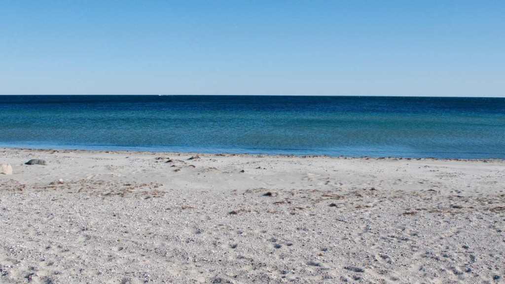 Psychological fitness to&nbsp;dive