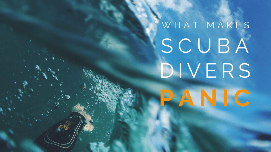 scuba diver panic