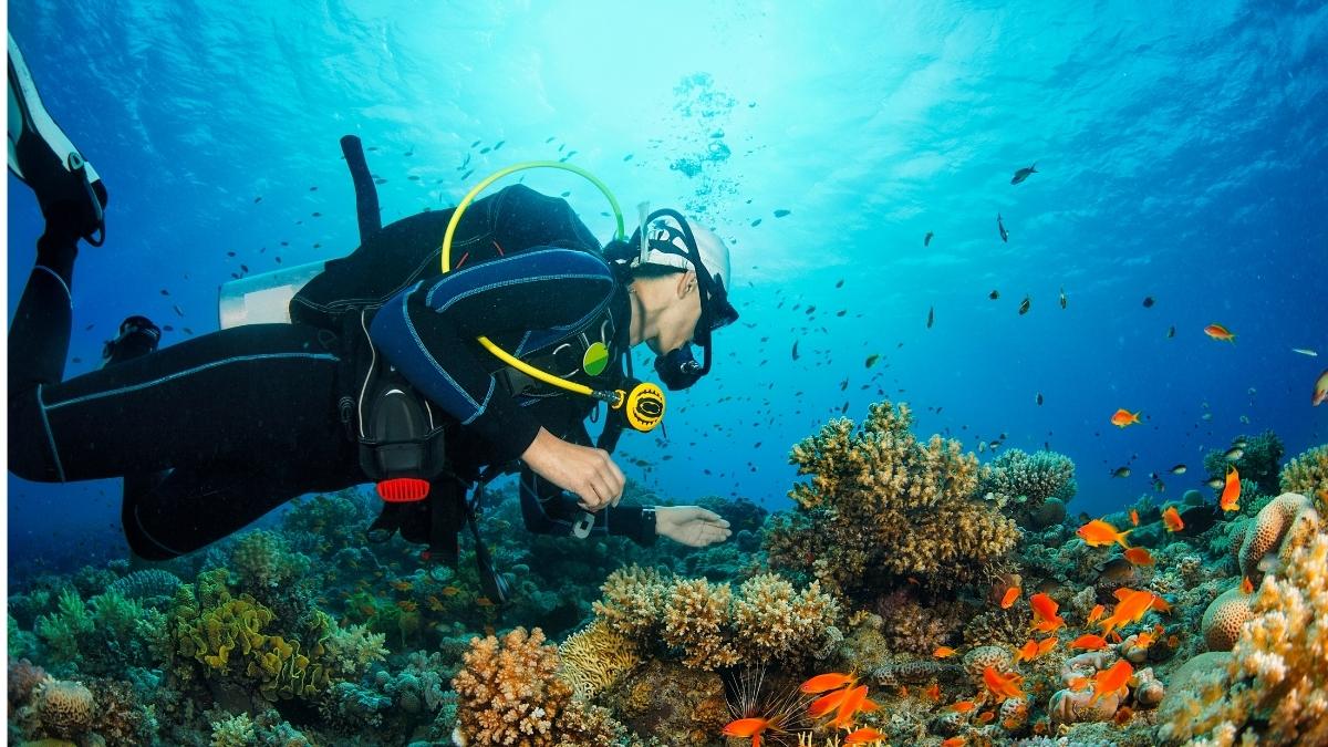 The dangers of diving distracted: And when distraction can help